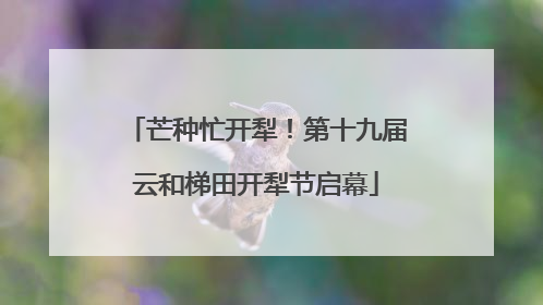 芒种忙开犁！第十九届云和梯田开犁节启幕