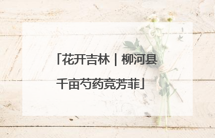 花开吉林｜柳河县千亩芍药竞芳菲