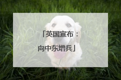 英国宣布：向中东增兵