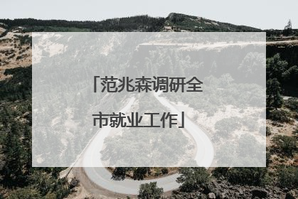 范兆森调研全市就业工作