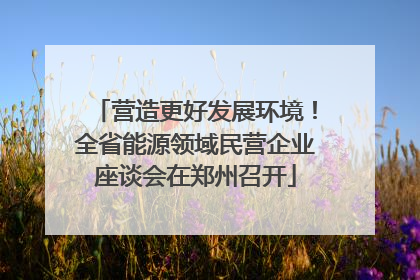 营造更好发展环境！全省能源领域民营企业座谈会在郑州召开