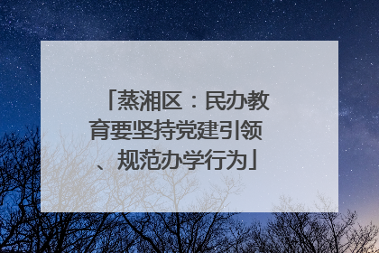 蒸湘区：民办教育要坚持党建引领、规范办学行为