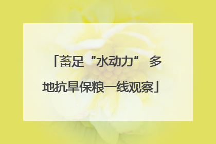 蓄足“水动力” 多地抗旱保粮一线观察
