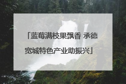 蓝莓满枝果飘香 承德宽城特色产业助振兴