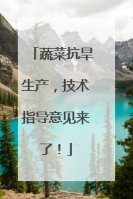 蔬菜抗旱生产，技术指导意见来了！