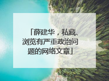 薛建华，私藏、浏览有严重政治问题的网络文章