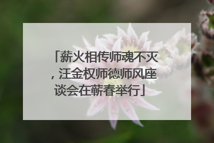 薪火相传师魂不灭，汪金权师德师风座谈会在蕲春举行