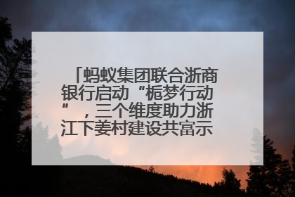 蚂蚁集团联合浙商银行启动“栀梦行动”，三个维度助力浙江下姜村建设共富示范区示范点
