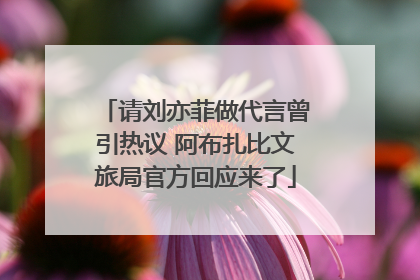 请刘亦菲做代言曾引热议 阿布扎比文旅局官方回应来了