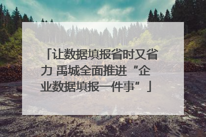 让数据填报省时又省力 禹城全面推进“企业数据填报一件事”