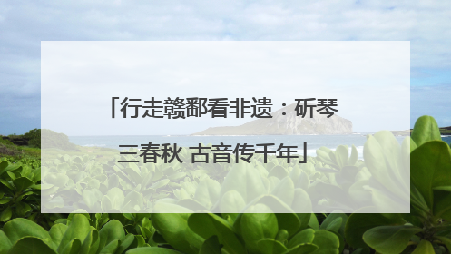 行走赣鄱看非遗：斫琴三春秋 古音传千年