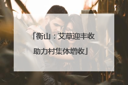 衡山：艾草迎丰收 助力村集体增收