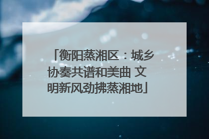 衡阳蒸湘区：城乡协奏共谱和美曲 文明新风劲拂蒸湘地