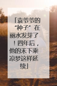 袁爷爷的“种子”在丽水发芽了！四年后，他的禾下乘凉梦这样延续