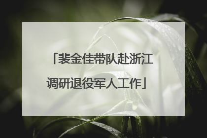 裴金佳带队赴浙江调研退役军人工作