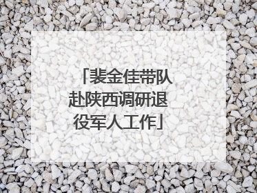 裴金佳带队赴陕西调研退役军人工作