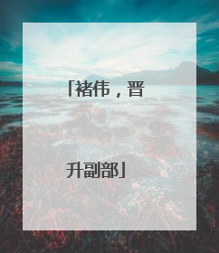 褚伟，晋升副部