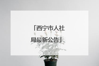 西宁市人社局最新公告