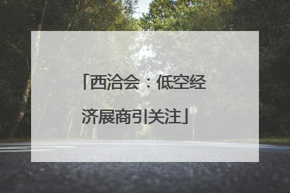 西洽会：低空经济展商引关注