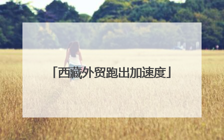 西藏外贸跑出加速度