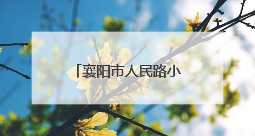 襄阳市人民路小学教育集团：啦啦操队闪耀国赛，技巧登顶花球摘银