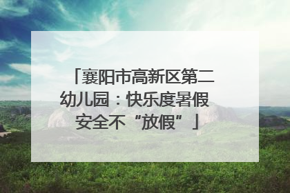 襄阳市高新区第二幼儿园：快乐度暑假 安全不“放假”