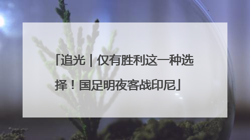 追光｜仅有胜利这一种选择！国足明夜客战印尼