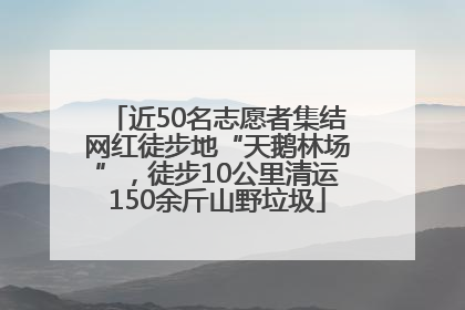 近50名志愿者集结网红徒步地“天鹅林场”，徒步10公里清运150余斤山野垃圾