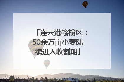 连云港赣榆区：50余万亩小麦陆续进入收割期
