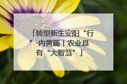 转型新生安阳“行”·内黄篇丨农业县有“大智慧”