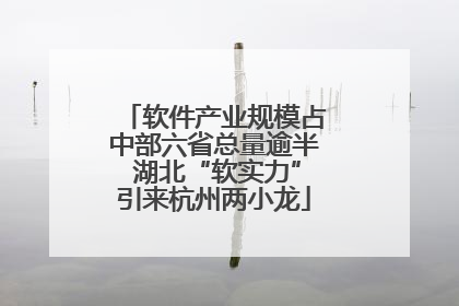 软件产业规模占中部六省总量逾半 湖北“软实力”引来杭州两小龙