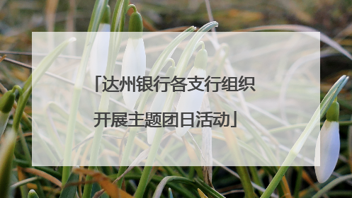 达州银行各支行组织开展主题团日活动