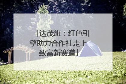 达茂旗：红色引擎助力合作社走上致富新赛道