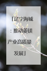 辽宁海城：推动菱镁产业高质量发展