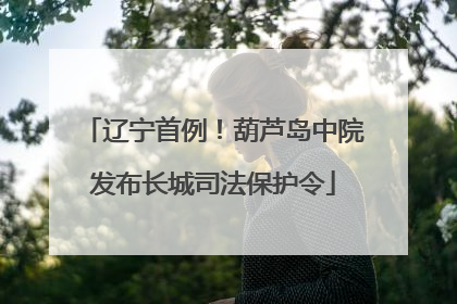 辽宁首例！葫芦岛中院发布长城司法保护令
