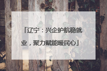 辽宁：兴企护航稳就业，聚力赋能暖民心