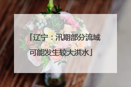 辽宁：汛期部分流域可能发生较大洪水