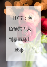 辽宁：蓝色预警！大到暴雨马上就来