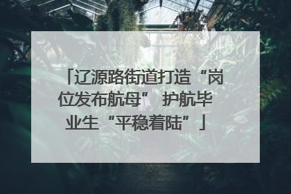 辽源路街道打造“岗位发布航母” 护航毕业生“平稳着陆”