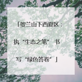 贺兰山下西夏区：执“生态之笔” 书写“绿色答卷”