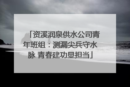 资溪润泉供水公司青年班组：测漏尖兵守水脉 青春建功显担当
