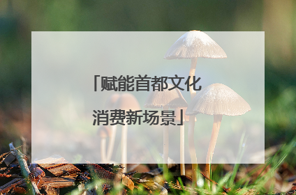 赋能首都文化消费新场景