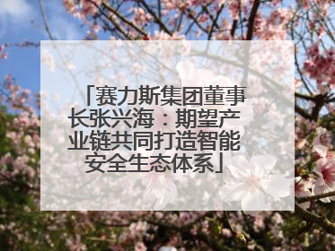 赛力斯集团董事长张兴海：期望产业链共同打造智能安全生态体系