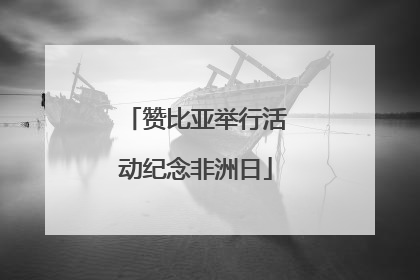赞比亚举行活动纪念非洲日