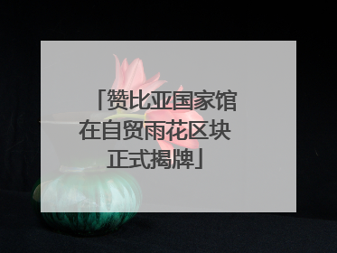 赞比亚国家馆在自贸雨花区块正式揭牌