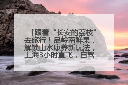 跟着“长安的荔枝”去旅行！品岭南鲜果，解锁山水康养新玩法，上海3小时直飞，自驾高速费优惠