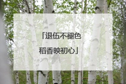 退伍不褪色 稻香映初心