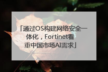 通过OS构建网络安全一体化，Fortinet看重中国市场AI需求