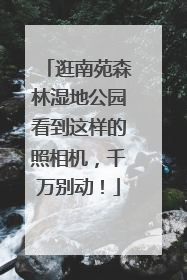 逛南苑森林湿地公园看到这样的照相机，千万别动！