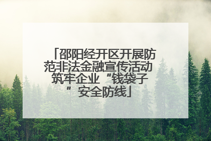 邵阳经开区开展防范非法金融宣传活动 筑牢企业“钱袋子”安全防线